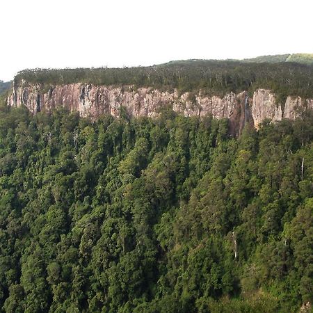 Springbrook Lyrebird Retreat Villa Luaran gambar