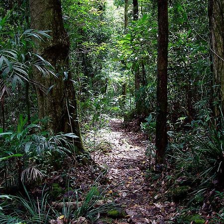 Springbrook Lyrebird Retreat Villa Luaran gambar