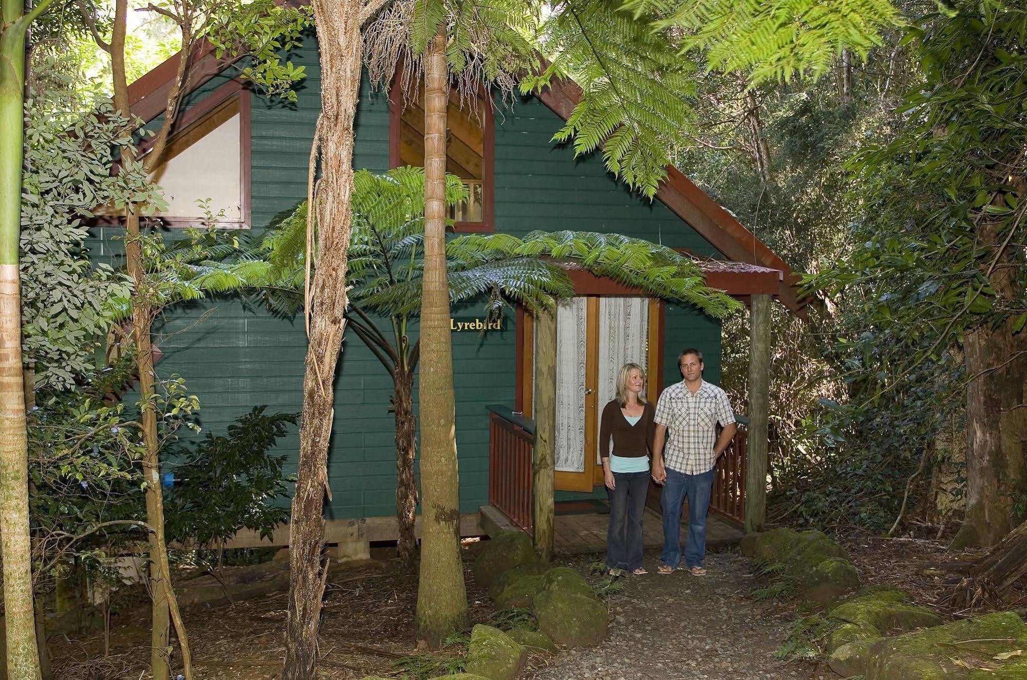 Springbrook Lyrebird Retreat Villa Luaran gambar