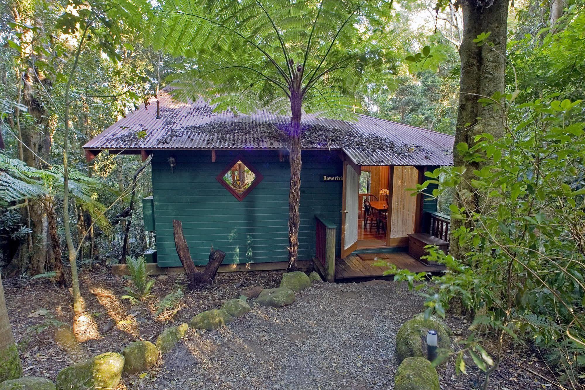 Springbrook Lyrebird Retreat Villa Luaran gambar