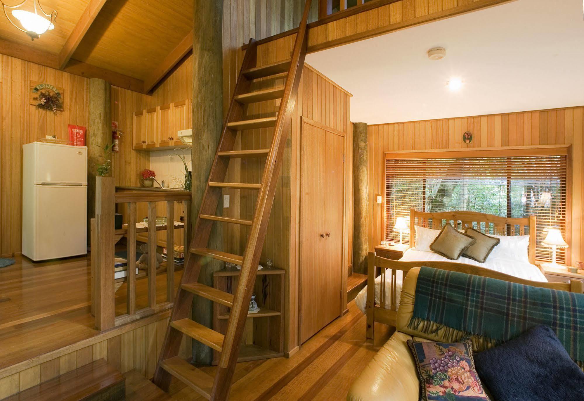 Springbrook Lyrebird Retreat Villa Luaran gambar