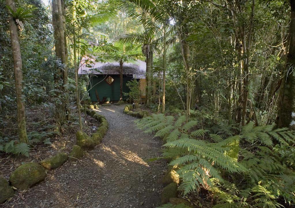 Springbrook Lyrebird Retreat Villa Luaran gambar