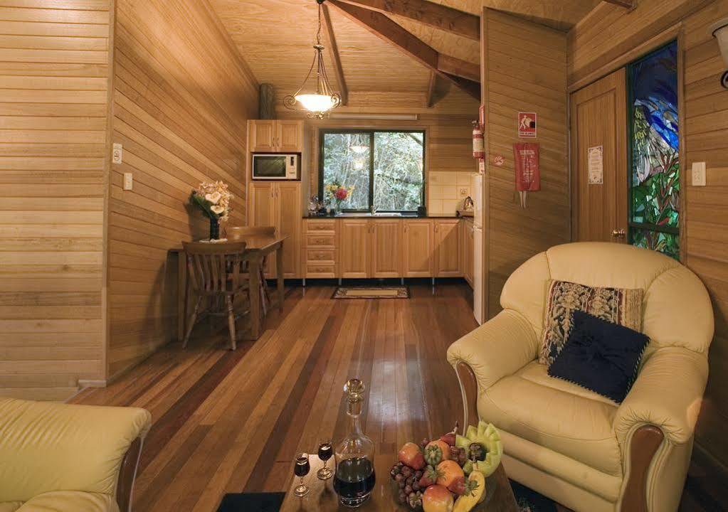Springbrook Lyrebird Retreat Villa Luaran gambar