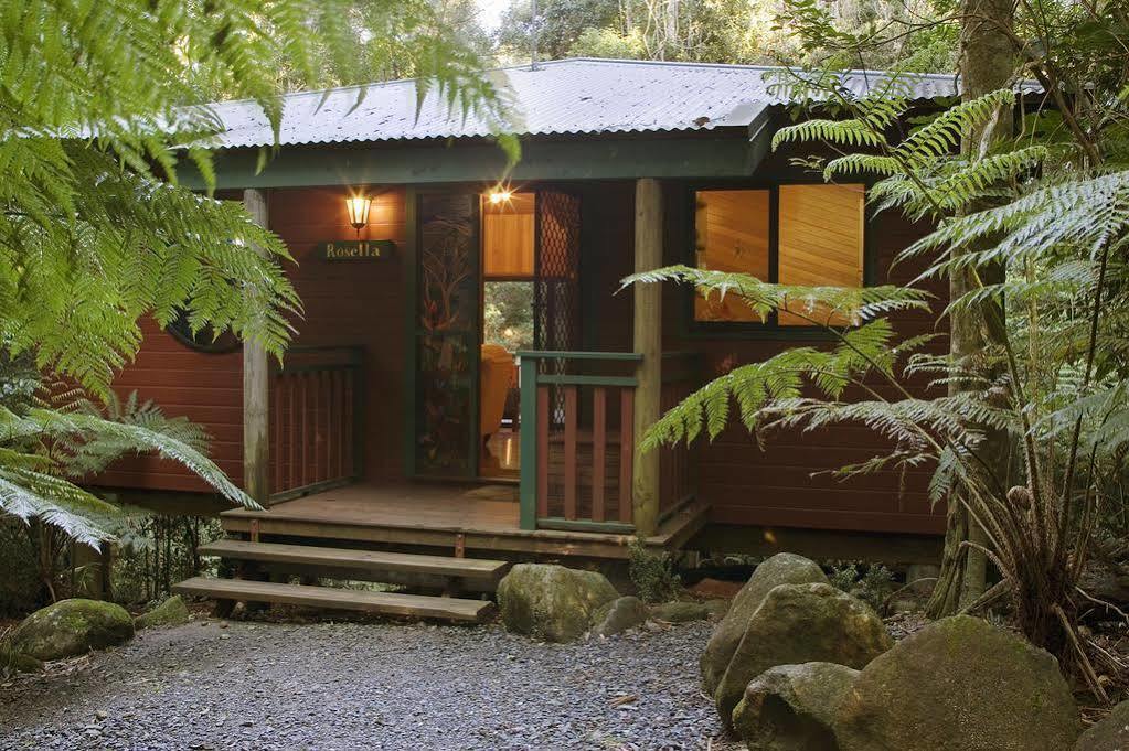 Springbrook Lyrebird Retreat Villa Luaran gambar